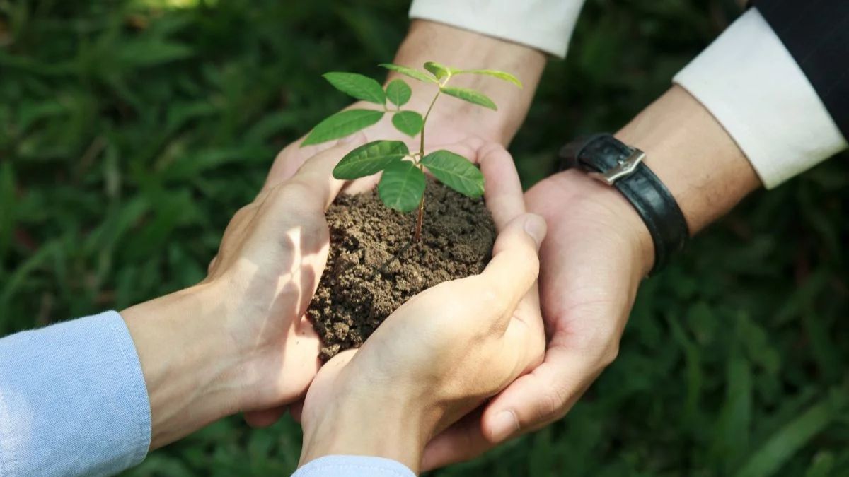 Sustainable Farming